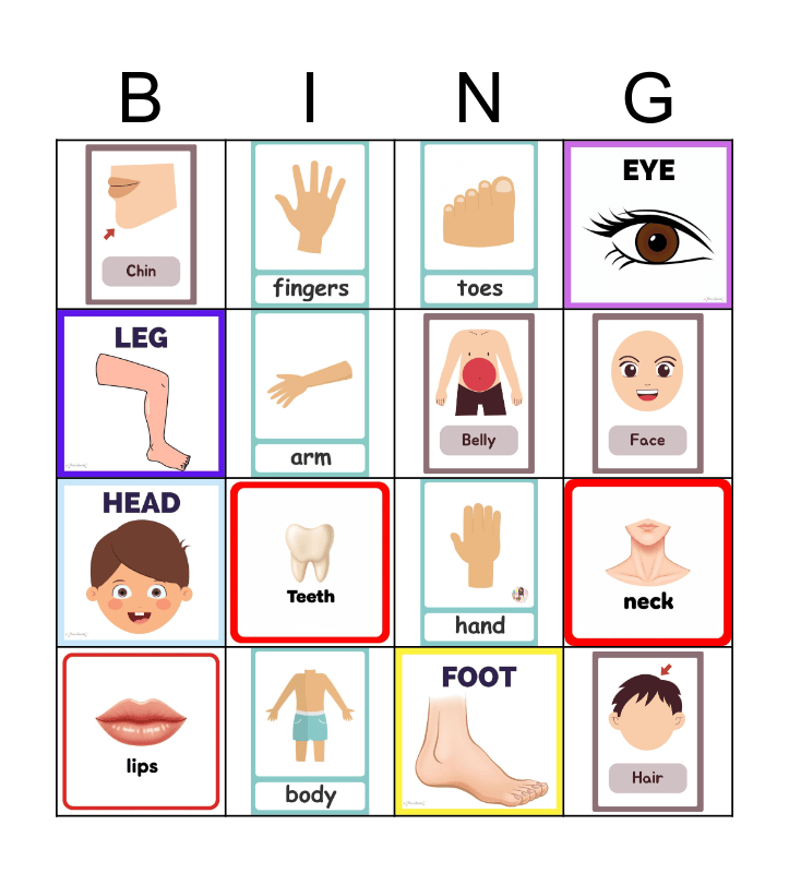 My body Bingo Card