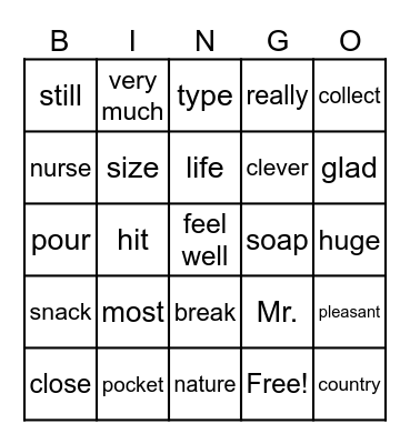 English Day - Grade 6 Bingo Card