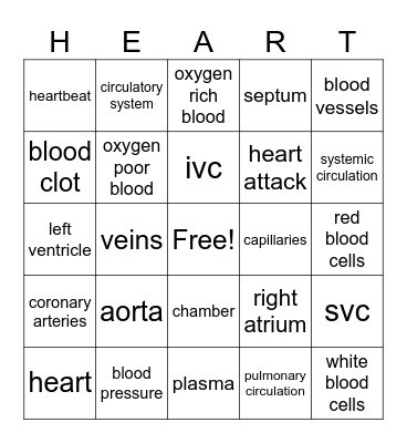 Cardiovascular Bingo Card