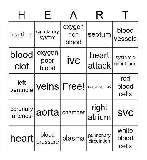 Cardiovascular Bingo Card
