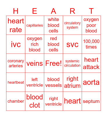Cardiovascular Bingo Card