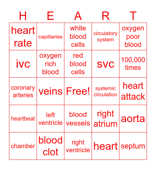 Cardiovascular Bingo Card