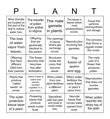 Plant Review Bingo! Bingo Card