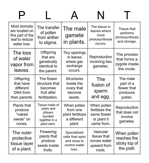 Plant Review Bingo! Bingo Card