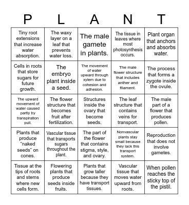 Plant Review Bingo! Bingo Card