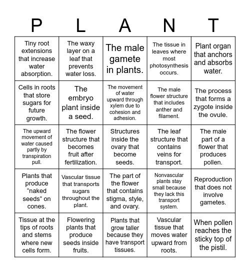 Plant Review Bingo! Bingo Card