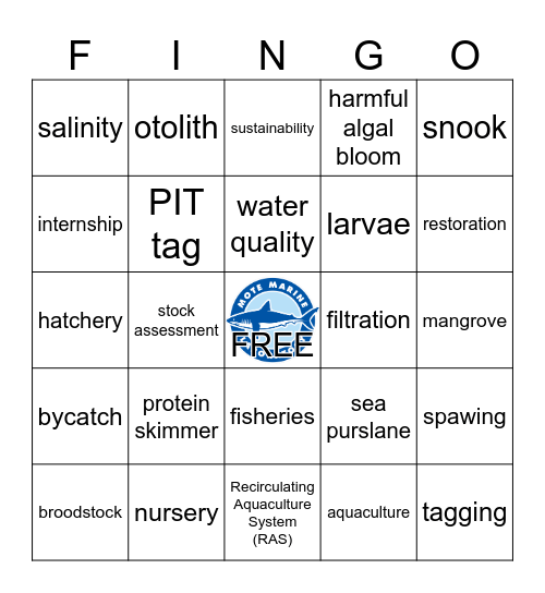WISE: Fisheries & Aquaculture Bingo Card