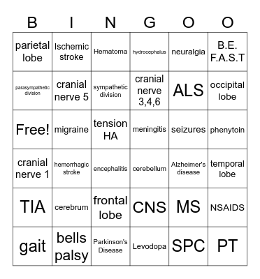 Nervous System Bingo Card
