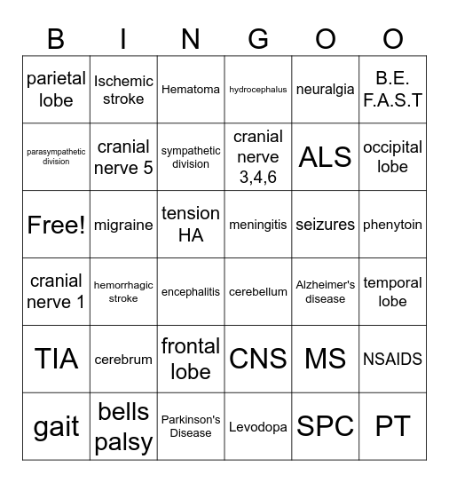 Nervous System Bingo Card