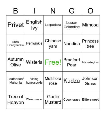 Invasive Species of Chattanooga Bingo Card