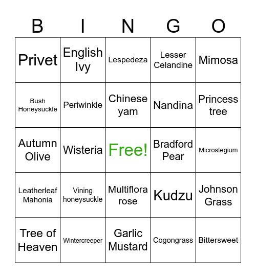 Invasive Species of Chattanooga Bingo Card