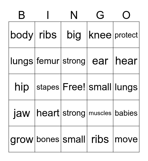Bone Builders Bingo Card