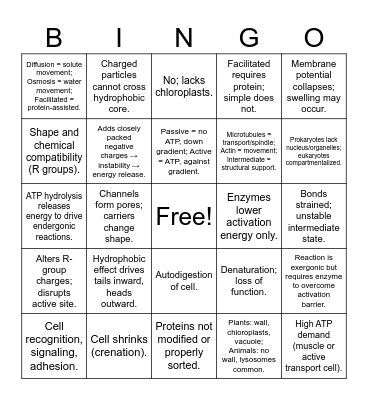 Exam 2 Review Bingo Card
