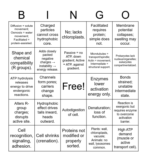 Exam 2 Review Bingo Card