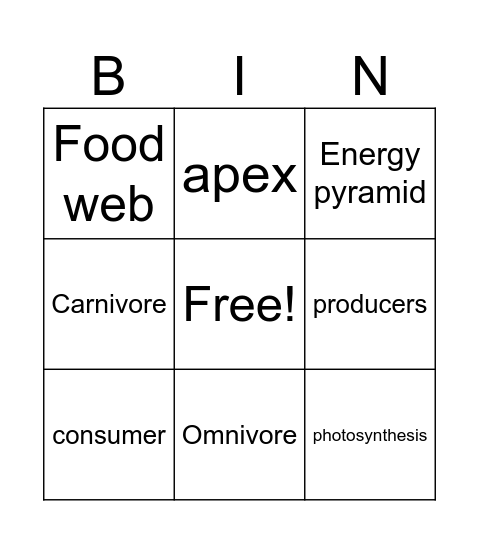 Vocabulary Science Bingo Card
