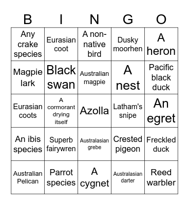 Wetlands BINGO Card