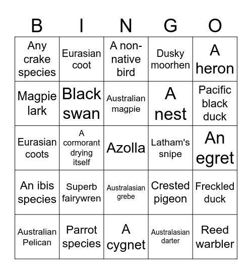 Wetlands BINGO Card