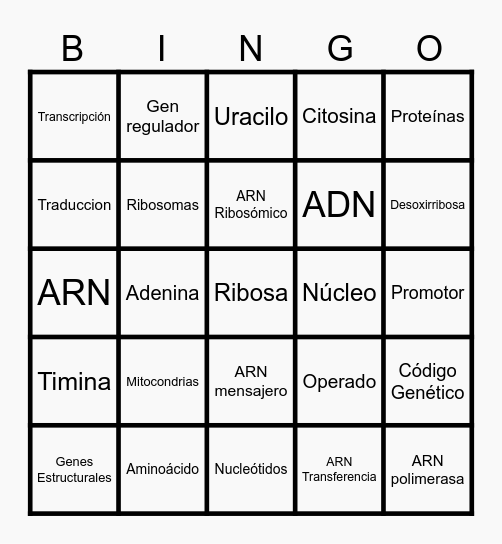 Síntesis de Proteínas Bingo Card