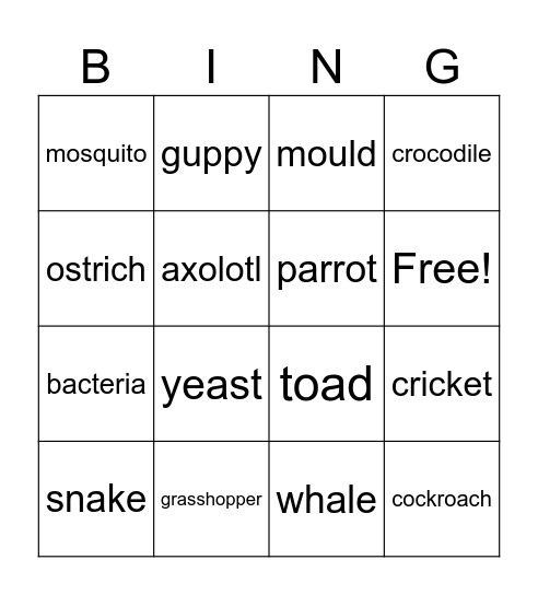 How many living things can you find? Bingo Card