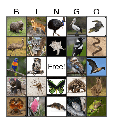 Australian Wildlife Bingo Card