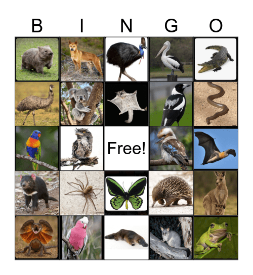 Australian Wildlife Bingo Card