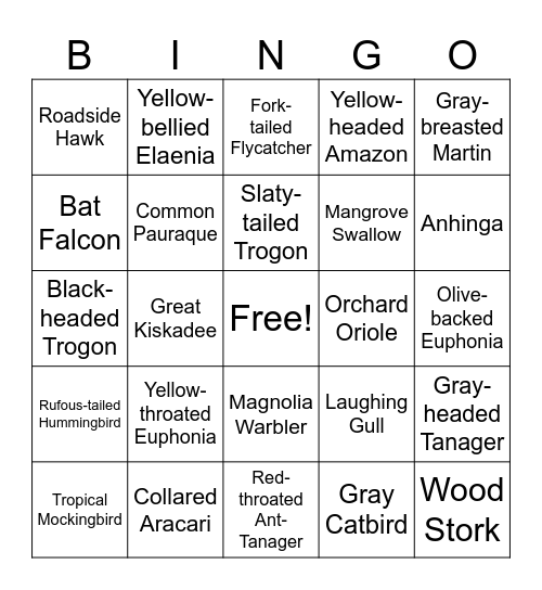 Belize Bird Bingo Card