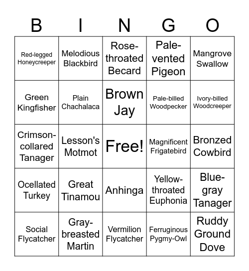 Belize Bird Bingo Card