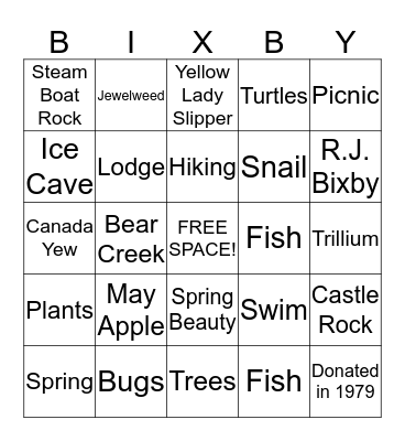 BIXBY  Bingo Card