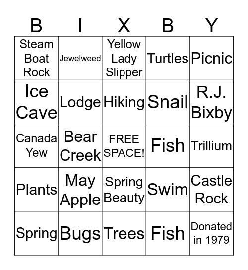 BIXBY  Bingo Card