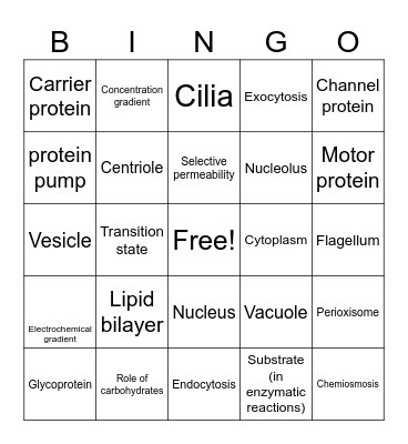 BIO 1305 Exam 2 Review Bingo Card