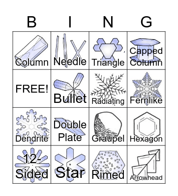 Snowflake Shapes Bingo Card