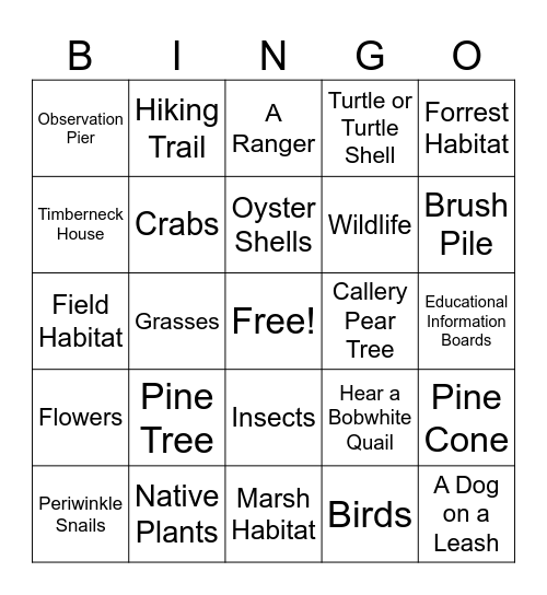 What Do You See at Machicomoco Bingo Card