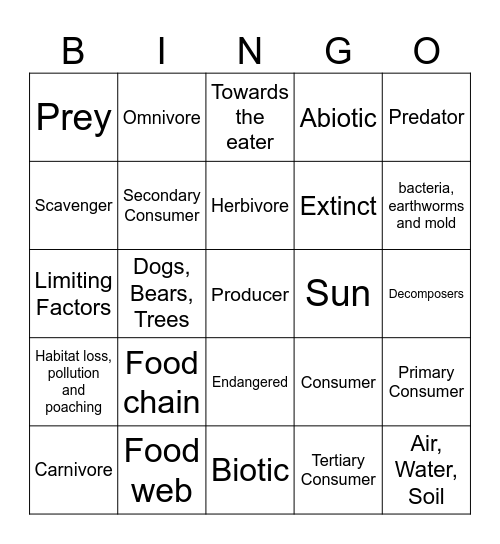 Chapter 7 and 8 Bingo Card