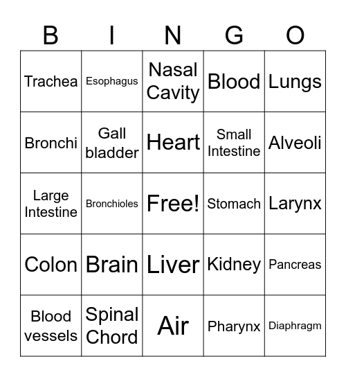 Internal Body Organs/ Respiratory System Bingo Card