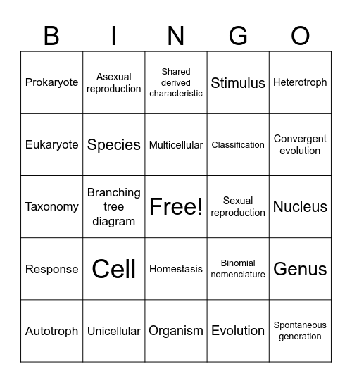 Classification BINGO Card