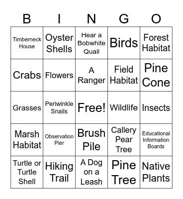 What Do I see? Bingo Card