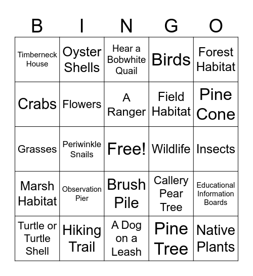 What Do I see? Bingo Card