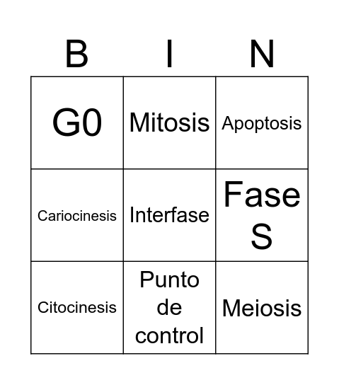 Ciclo celular Bingo Card