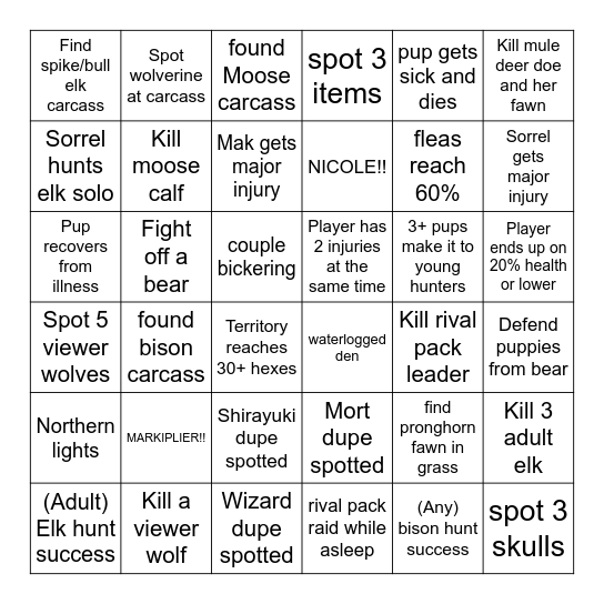 Raccoon & McPickle Pounder Adventures!! Bingo Card