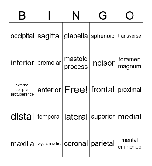 Crania BINGO Card