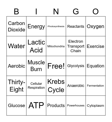Cellular Respiration Bingo Card