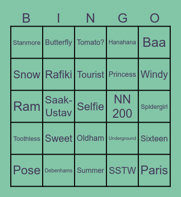 Hashi's 21st and Ishi's 16th Birthday Bingo Card