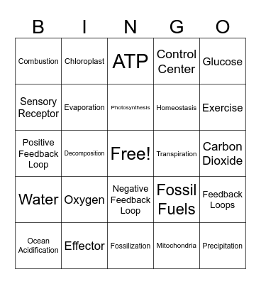 BIOLOGY BINGO Card