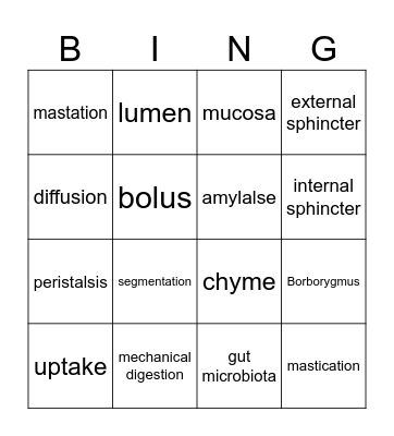 Digestive System Bingo Card