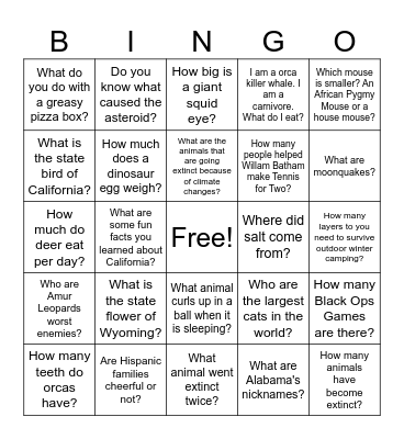 Writing Bingo Card