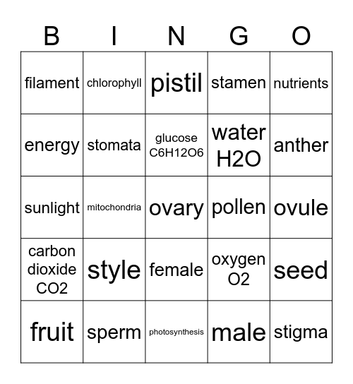 Plant and Flower Review Mitchell 2026 Bingo Card