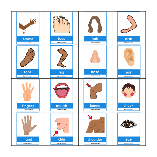 Body Parts Bingo Card