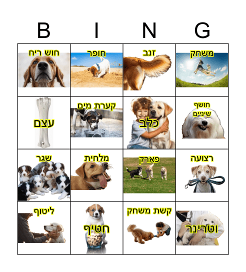 בינגו כלבים Bingo Card