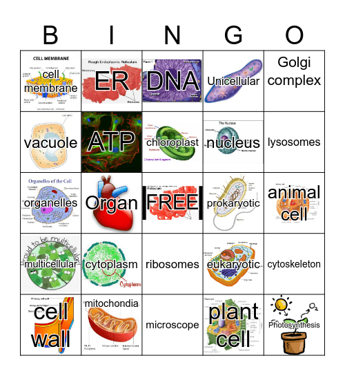 CELL BINGO Card