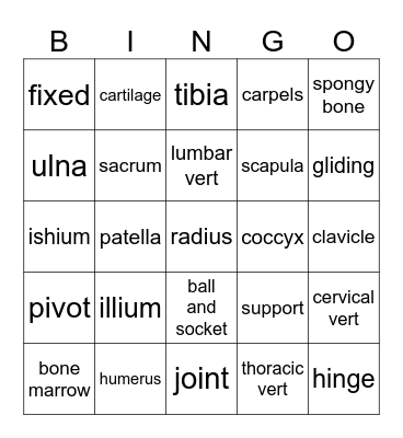 Skeletal System Bingo Card